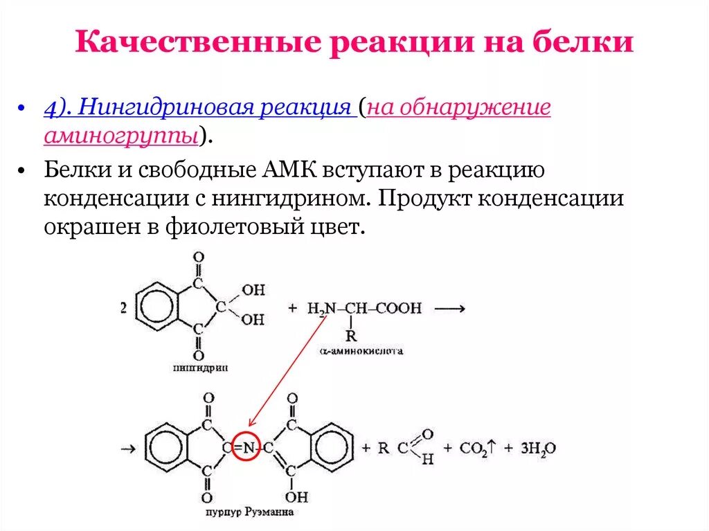 Белки можно обнаружить. Качественные реакции на белки химия 9 класс. Качественные реакции белков реакции. Качественные реакции на обнаружение белков. Качественные реакции на белки.