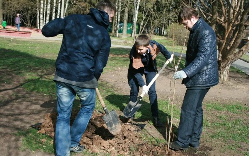 Стишки про субботник. Весной при проведении работ. Ответственные за безопасность работ. Проведение работ в электроустановках. Озеленение рабочие.