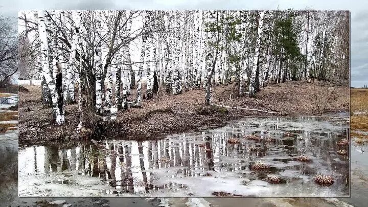 Река талая. Талая вода весной. Талая вода река. Талая вода. Весенние ручьи.
