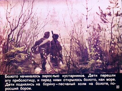 Закат солнца пришвин