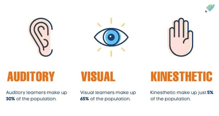 Visual learn. Visual auditory kinesthetic. learning style visual auditory kinesthetic. visual and auditory learners. learning styles visual auditory and kinesthetic learners.