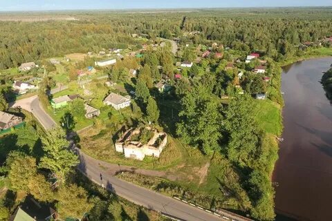 Золотое новгородская область