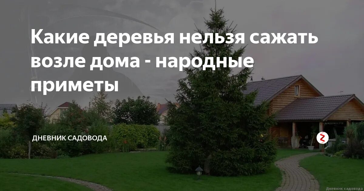 Какие деревья нельзя сажать возле дома. Какие деревья нельзя сажать дома. Деревья на участке приметы. Приметы земля около дома.