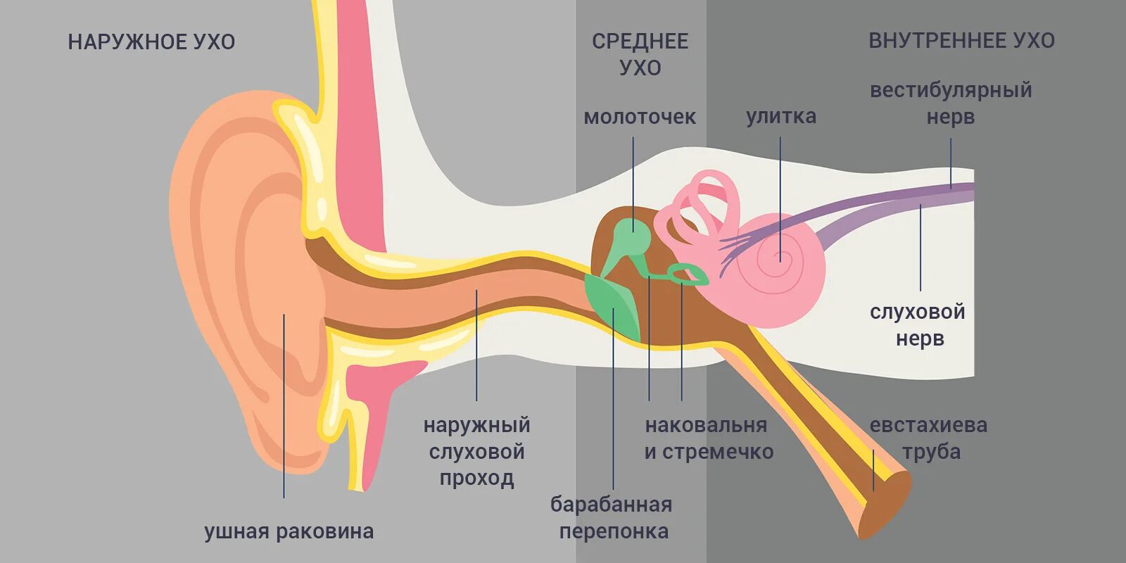 При сморкании заложило ухо что делать