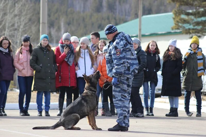 Знакомство с кинологом. Профессия кинолог. Знакомство с кинологом. Кинологическая школа. Знакомство с кинологом.
