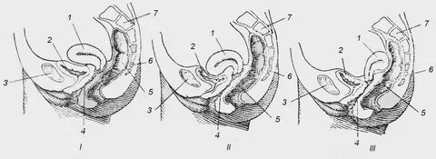Порно видео қыздың пискасына спермы