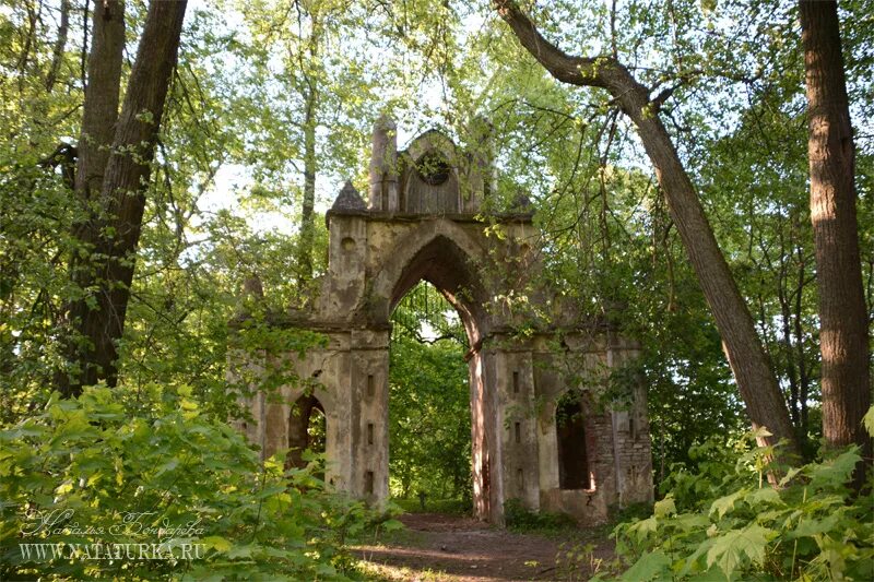 П тайцы. Усадьба Демидовых в Тайцах готические ворота. Дворцово-парковый ансамбль усадьбы Демидовых Тайцы. Усадьба Тайцы Ленинградская область. Тайцы парк.