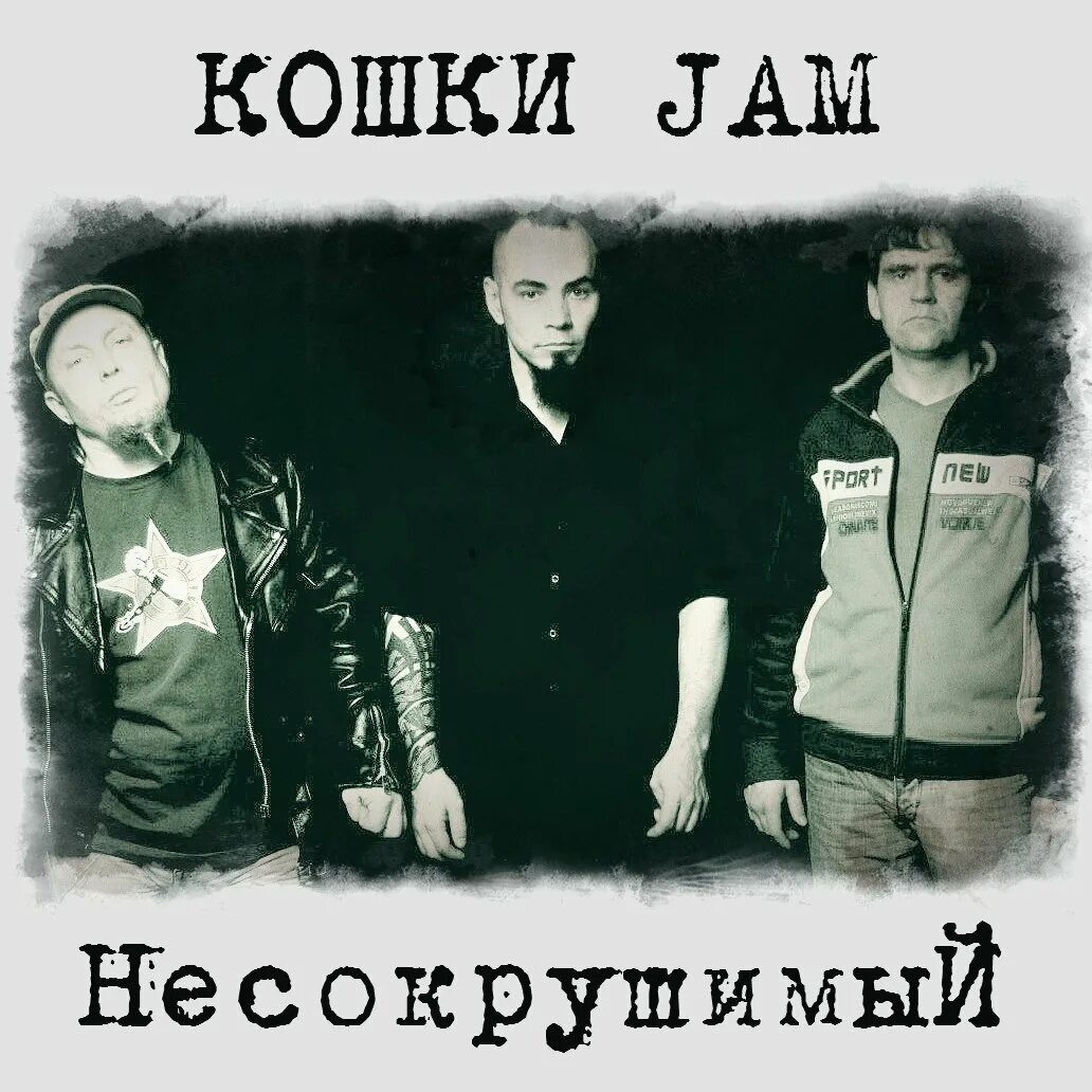 Кошки джем. "кошки jam" && ( исполнитель | группа | музыка | music | band | artist ) && (фото | photo). Группа кошки джем. Кошки jam. Кошки jam череповец.