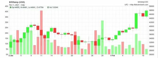 Какая страна первая одобрила биткоин в 2021. Bitcoin рост график 2021. График криптовалют за 2021 год. Курс биткоинов 2021 году. Динамика курса биткоина за 2021.