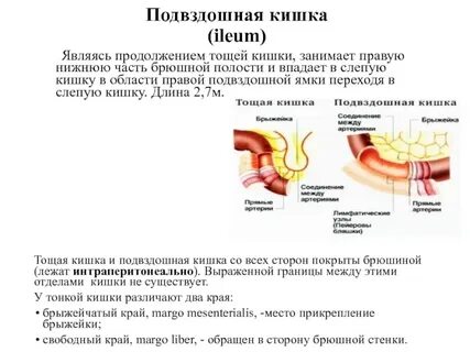 Спазм тонкого кишечника