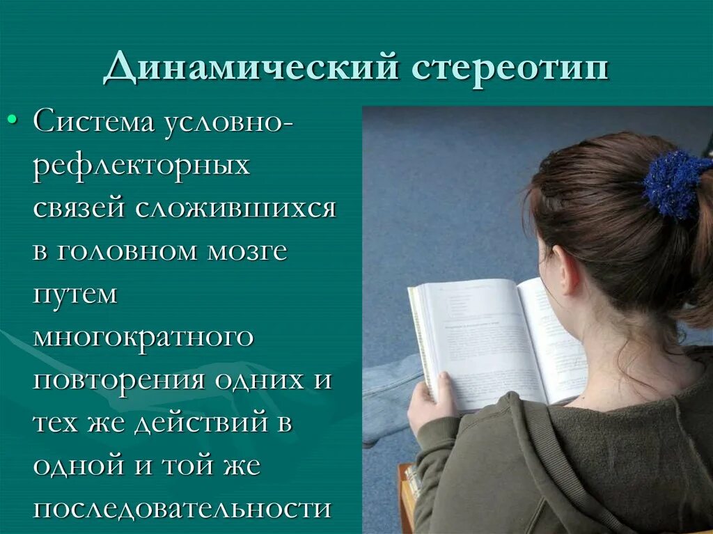 Формирование динамического стереотипа