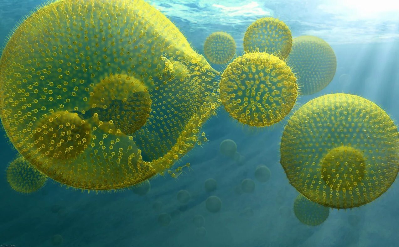 Протерозойская эра кембрий. Примитивная форма жизни. Буриан зденек древнее море. Бактерии протерозойской эры. Кембрийский червяк.