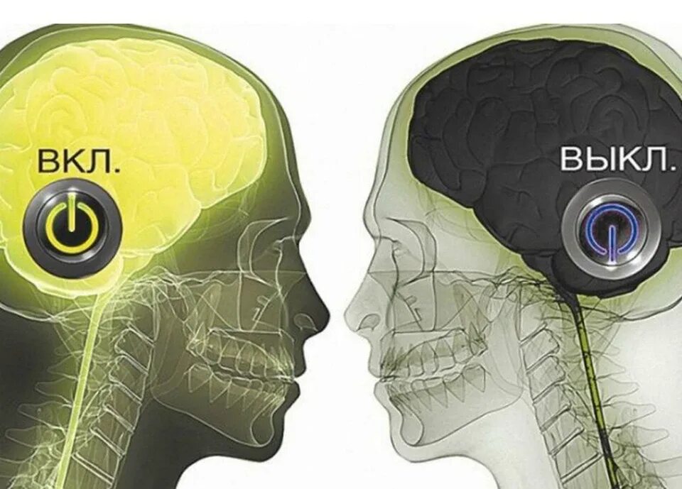 Включи 3 голова. Психологические триггеры. Триггер и мозга. Включить голову.