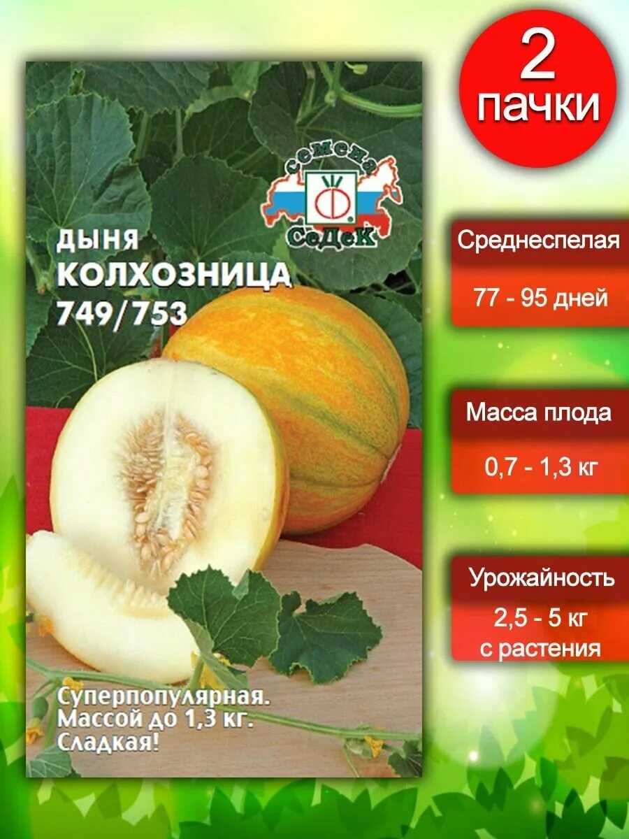 Дыня колхозница 749/753 1г гавриш хит х3. Гора дыня колхозница. Дыня колхозница когда сажать. Дыня вахарман. Дыня колхозница семена описание.