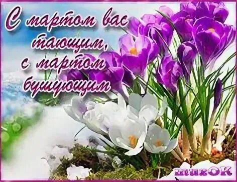 С мартом вас тающим