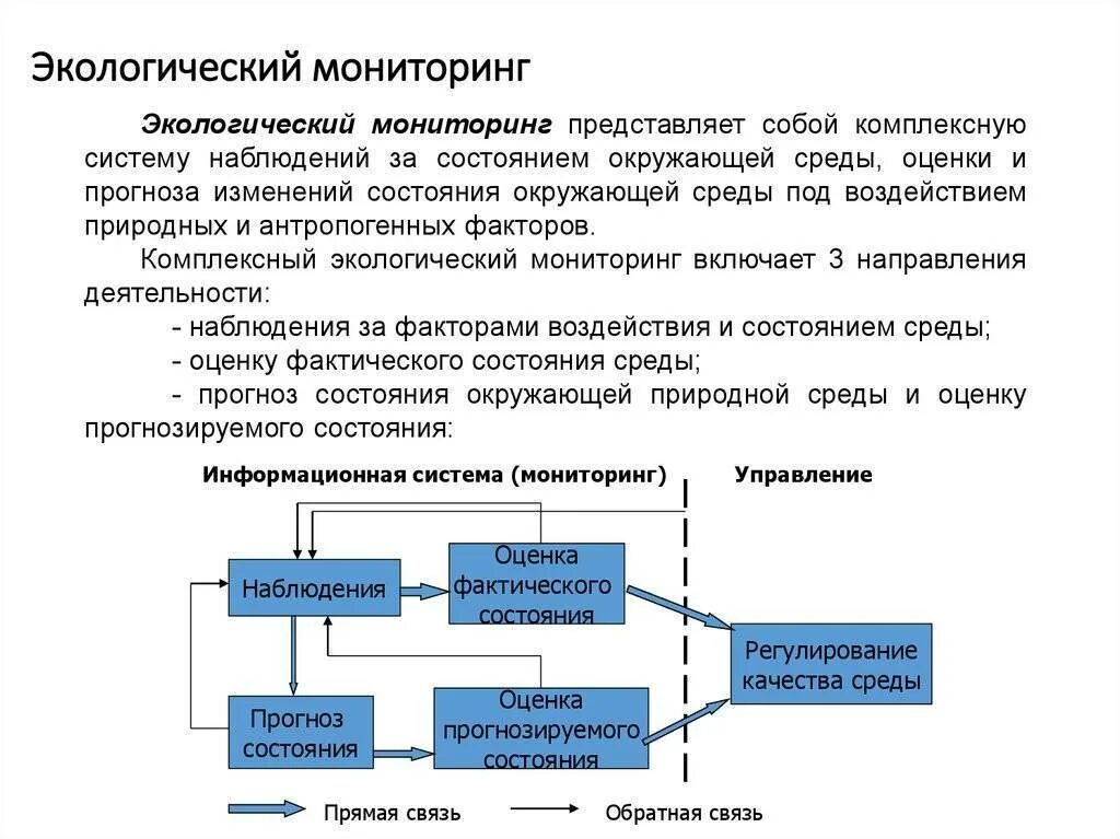 Структура экологического мониторинга. Блок схема системы экологического мониторинга. Порядок проведения экологического мониторинга схема. Система и методы экологического контроля схема. Источники контроля в организации