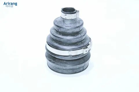 Arg 12