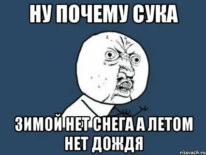 Зачем суки