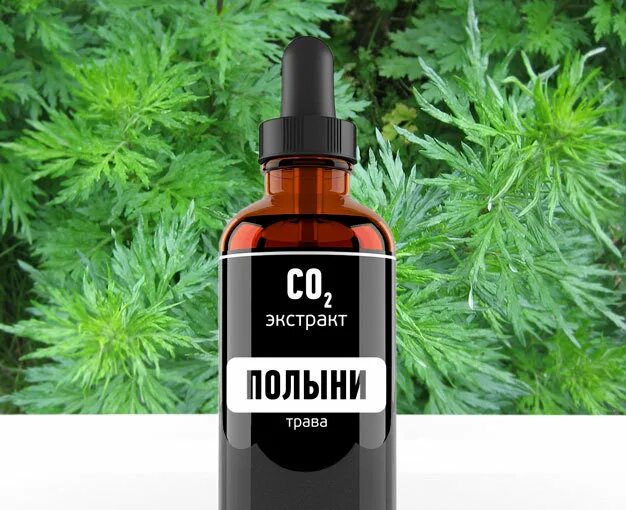 Полыни настойка 25мл - тульская фармацевтическая фабрика. Экстракт артемизии. Полыни н-ка 25 мл (инд уп-ка). Экстракт полыни и пижмы 30 мл. Экстракт горькой полыни.