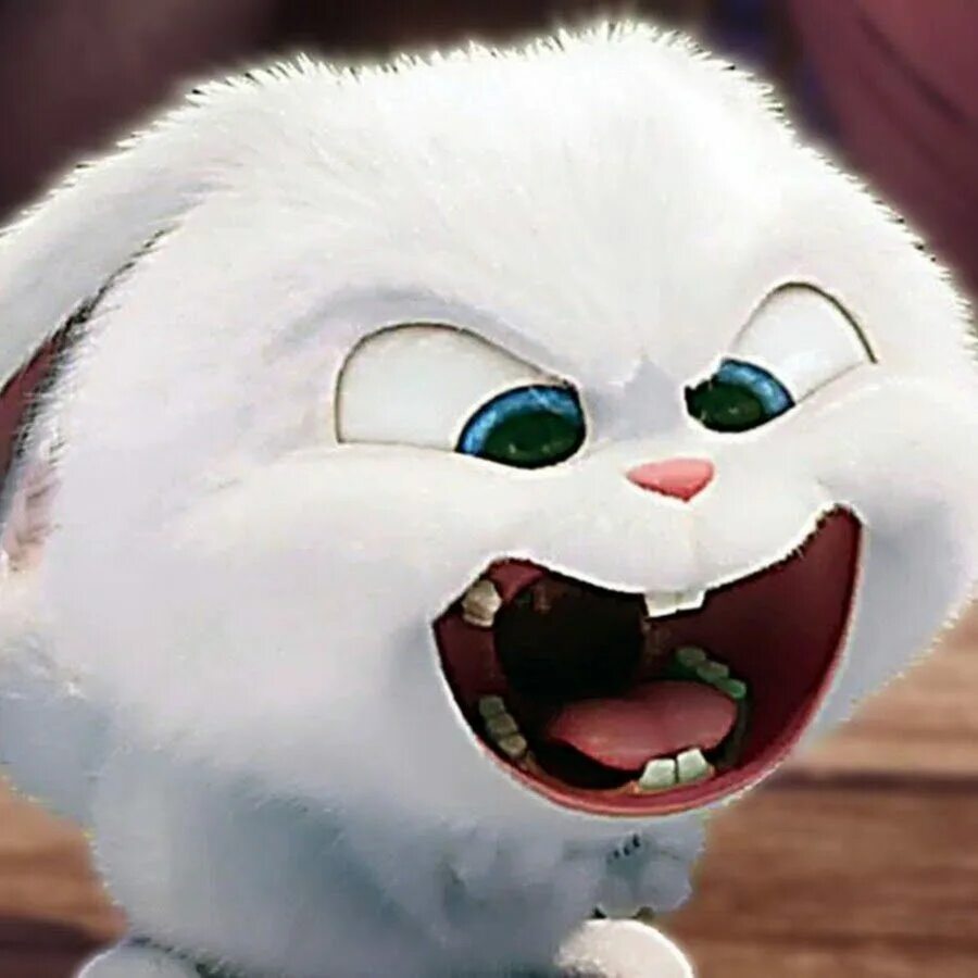 Футболка злая зая. Зая я тебя хочу. Тайная жизнь домашних животныхкполик. Осторожно злая зая. Злая зая потому что запасная.