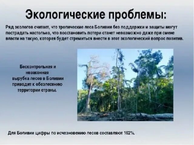 Экологические проблемы тропических лесов. Экологические проблемы влажных тропических лесов.. Вырубка экваториальных лесов. Проблемы влажных экваториальных лесов. Проблема тропического леса