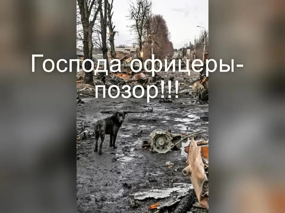 ряженые казаки. позора офицеры. плохая украина. офицер позор догли. алексей трофимов офицеры.