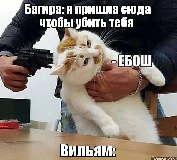 мемы с угрозами. шуточные угрозы. ебош стреляй мем. мемы про блог. ты просишь меня о помощи но ты просишь без уважения.