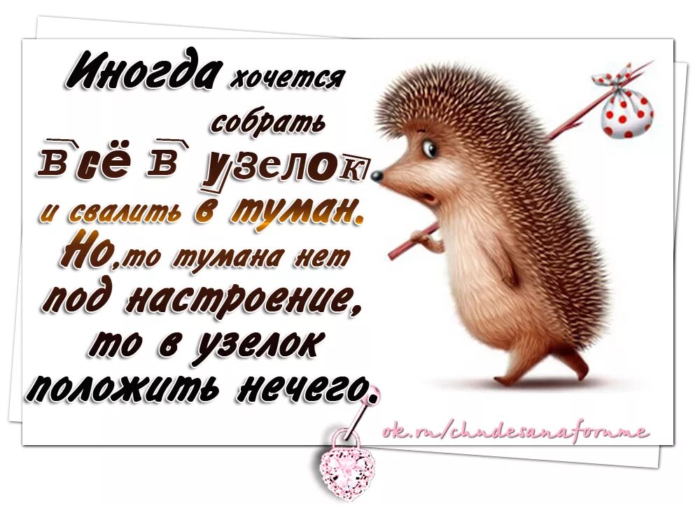 Собрать все в узелок и уйти. Хочется все собрать в узелок. Ежик иногда хочется собрать все в узелок. Хочется собрать всё в узелок и уйти. Я хочу взять взять слова