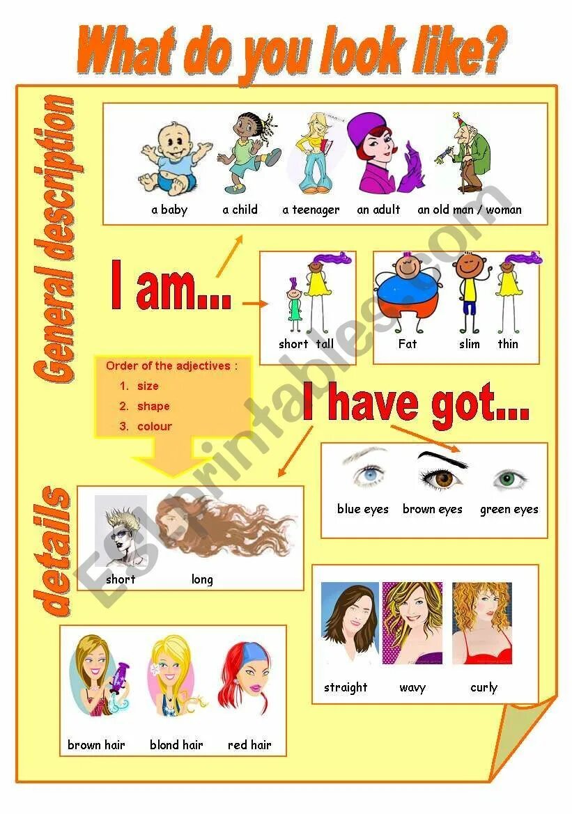 What is he looks like. Внешность Worksheets. What do you look like. Appearance Worksheets for Kids. Внешность на английском языке задания.