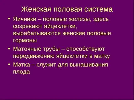 Где располагается половая железа