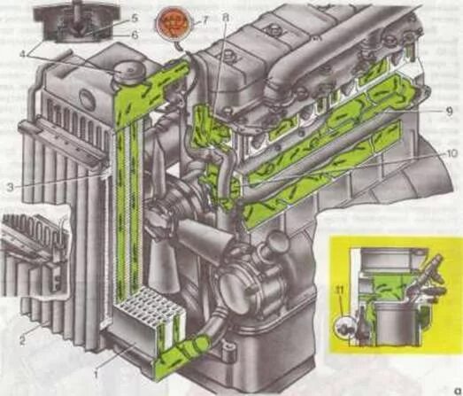 Система охлаждения двигателя д-240 трактора МТЗ-80. Система охлаждения двигателя д 240 МТЗ 80. Система охлаждения МТЗ 80. Система охлаждения трактора МТЗ 1221.