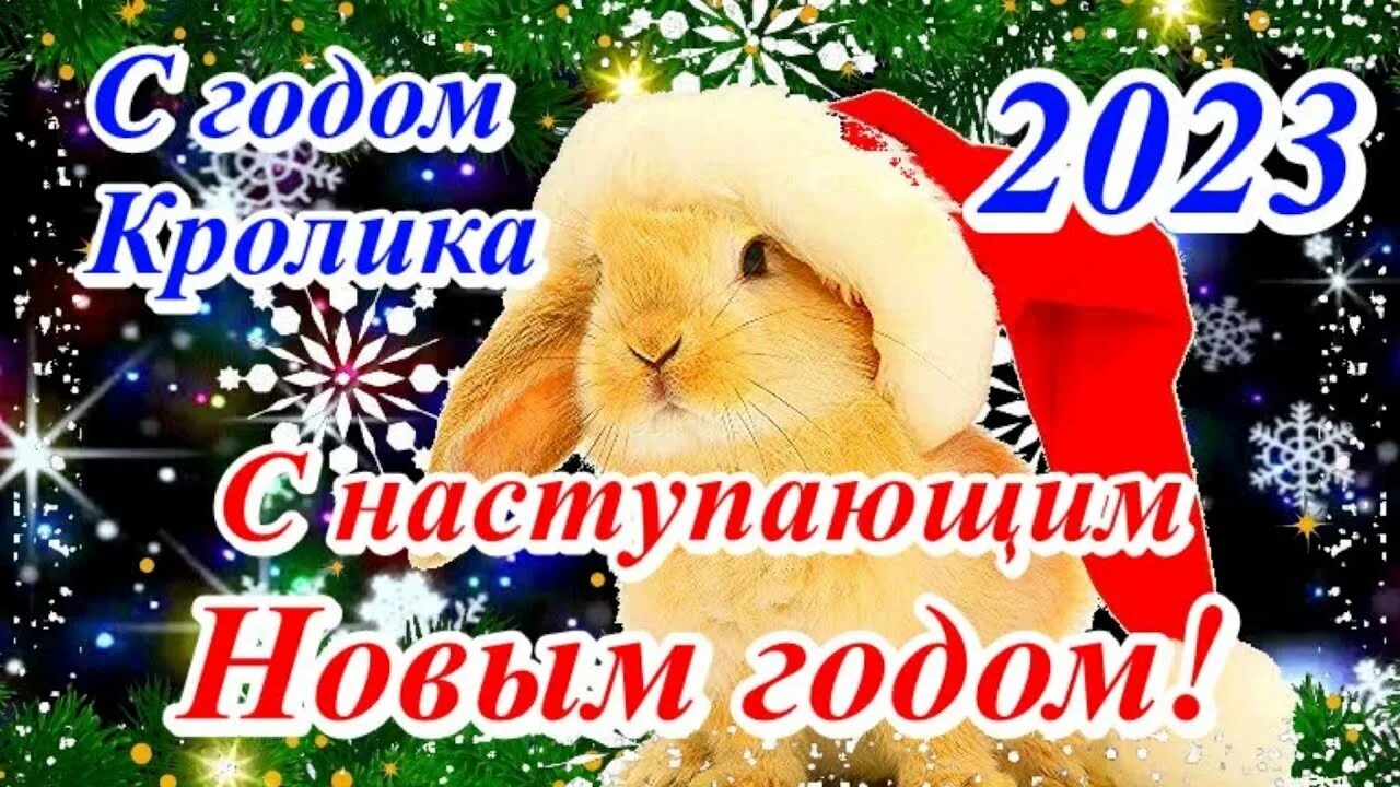 Поздравления с наступающим новым годом. С наступающим годом кролика. Поздравляю с наступающим новым годом кролика. Красивые поздравления с наступающим годом кролика.