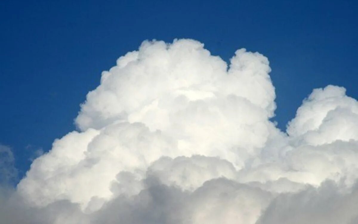 Cloud v. Cloud v