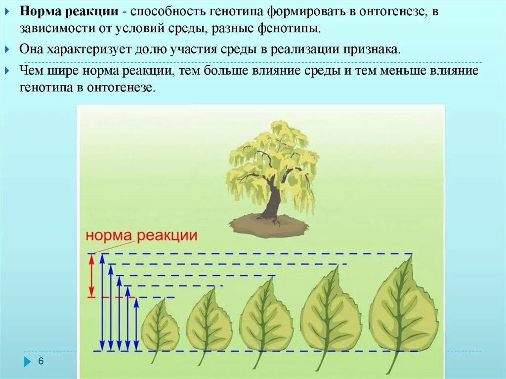 Норма реакции. Норма реакции это в биологии. Расширение нормы реакции. Норма реакции примеры.