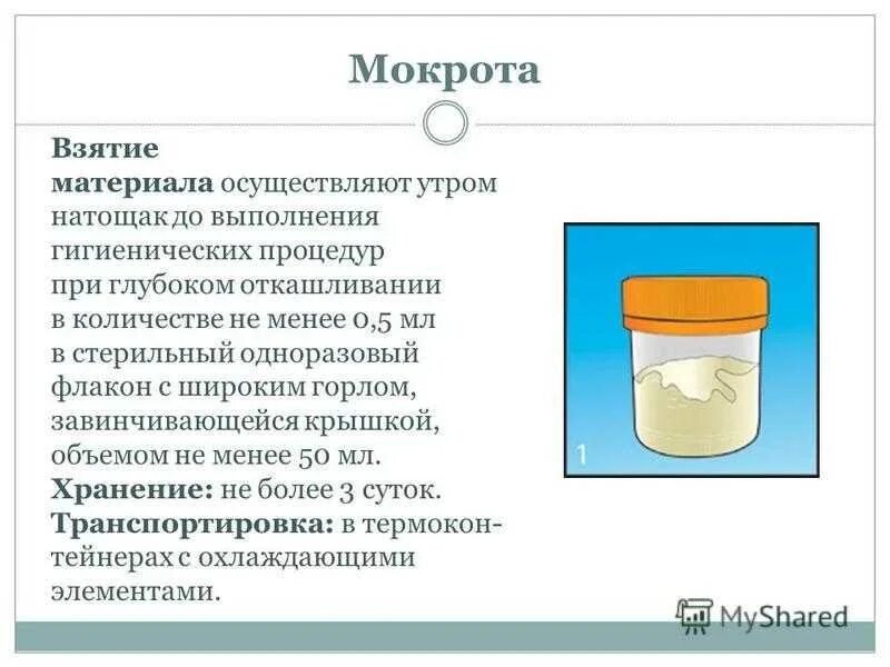 Сладкая мокрота