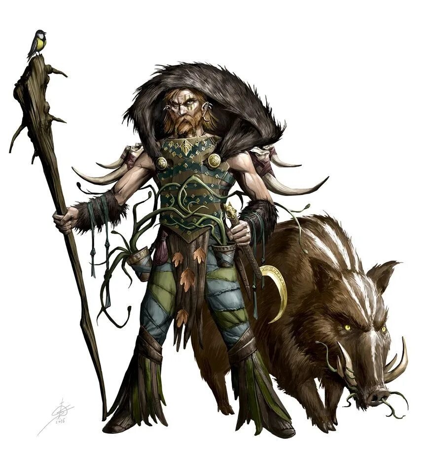 эльф друид днд. фирболг друид днд. эльф друид днд арт. лесной эльф друид днд. друид маг фэнтези арт.
