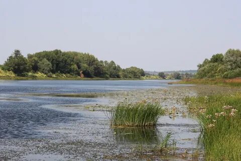 Засечье рязанская область спасский