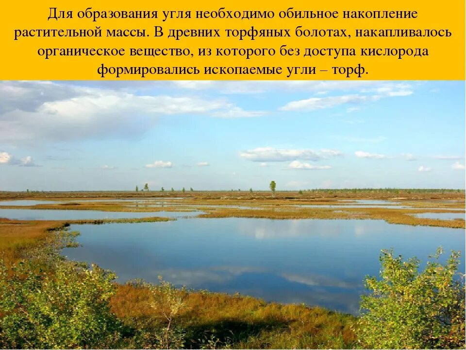 Западно-Сибирская Колымская низменность. Западно Сибирская равнина Тюмень. Аллювиальные равнины Западная Сибирь. Западно Сибирская равнина Красноярск. Реки и озера западно сибирской