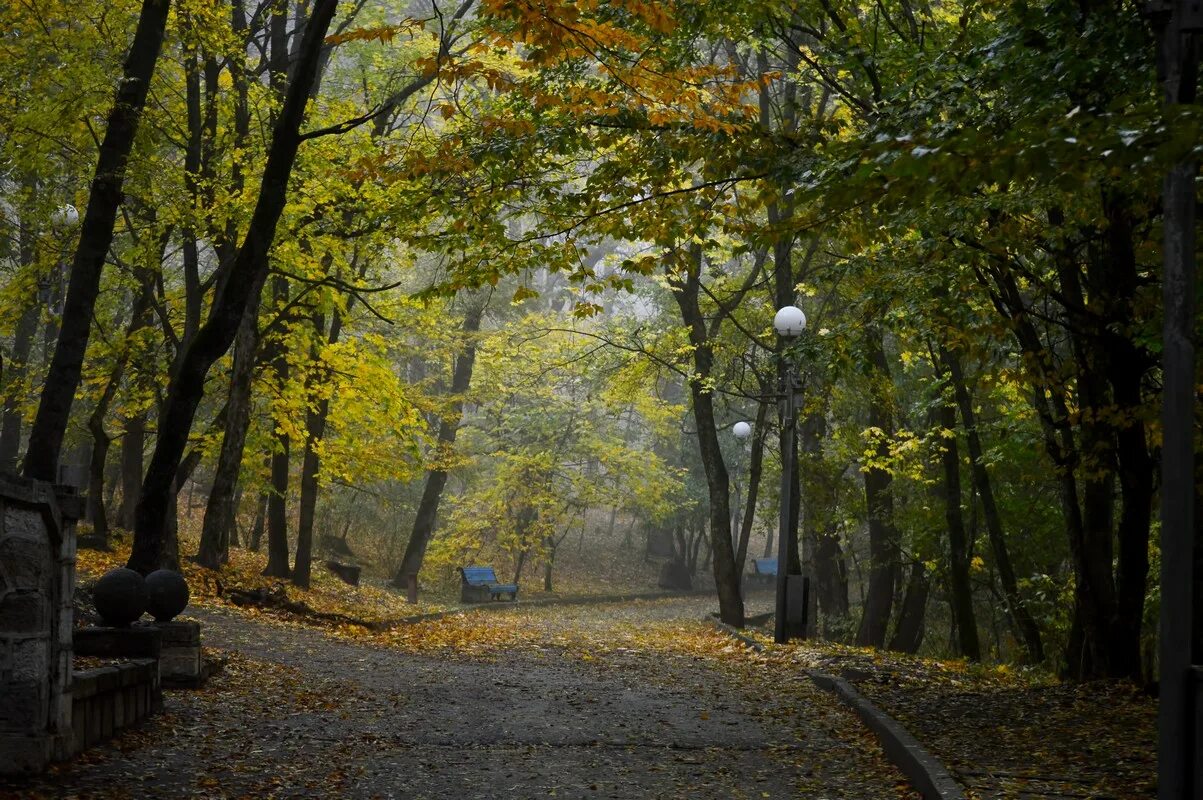 Железноводск осенью фото. Парк осенью. Осенний парк. Парк осенью фото. Железноводск октябрь