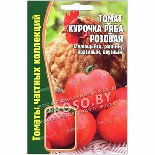 Томат курочка