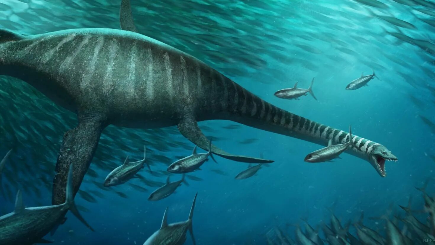 Ихтиозавр первичноводный. Эласмозавр. Elasmosaurus platyurus. Эласмозавр динозавр. Динозавры морские Плезиозавр.