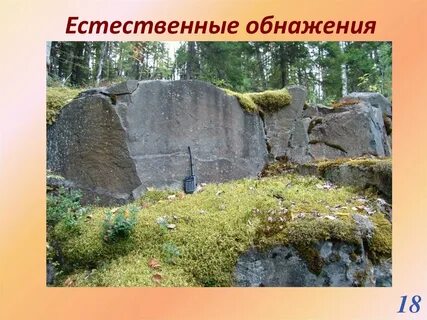 18 естественный