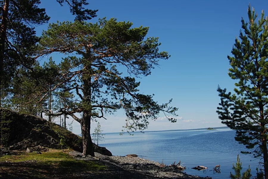 Валаам место силы. Шардонский архипелаг онежское озеро. Шардонский архипелаг онежское озеро. Шардонский архипелаг в карелии. Шардонский архипелаг онежское озеро.