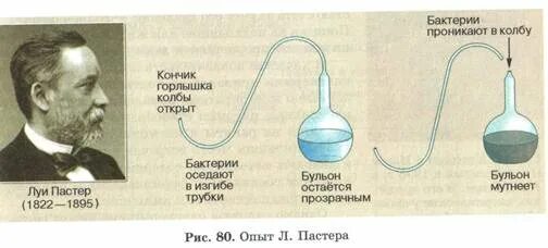 Гипотеза самозарождения жизни. Луи пастер опровержение самозарождения. Опыт опровергающий самозарождение жизни. Франческо реди теория самозарождения. Луи пастер биотехнология.