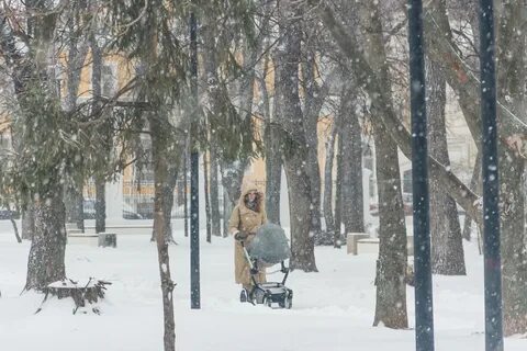 Морозы в рязанской