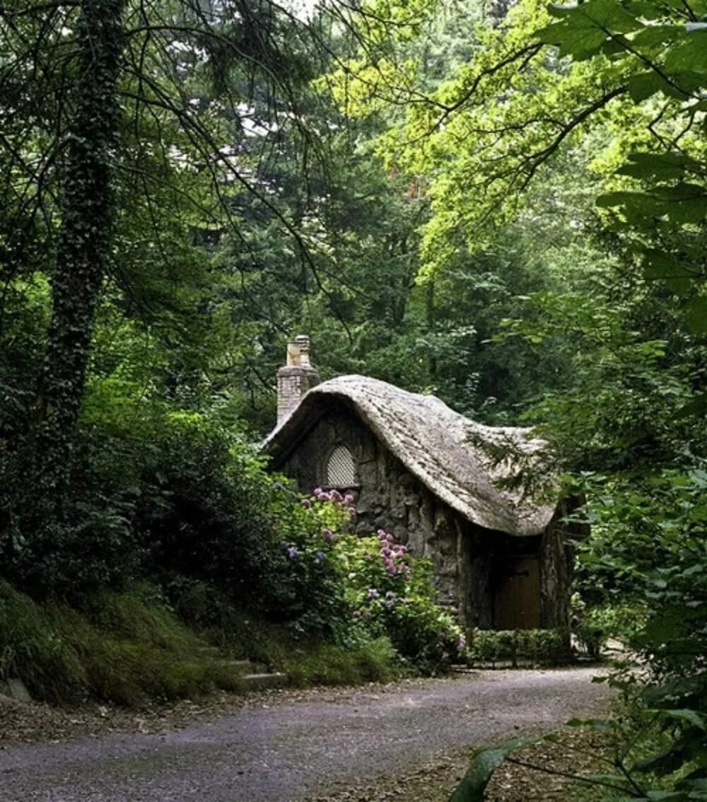 Хижина гномов, Британская Колумбия. Дилиджан Хоббит. Домики в Дилиджан в лесу. Шварцвальд дом в лесу. Дом дикой природы