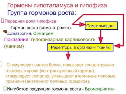 Стимуляция гормонов
