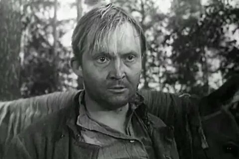 i?id=3d15514730a5a2a008a0c46541aa9ad88e008d48-10256045-images-thumbs&n=13