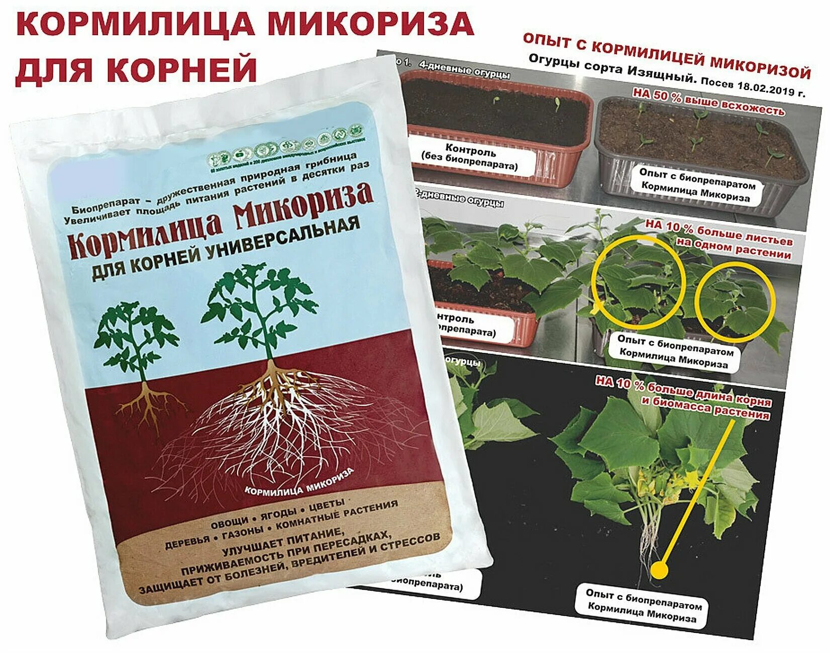 Для наращивания корневой системы. Микориза ОЖЗ Кузнецова. Удобрение микориза кормилица 1 л. Микориза ОЖЗ.