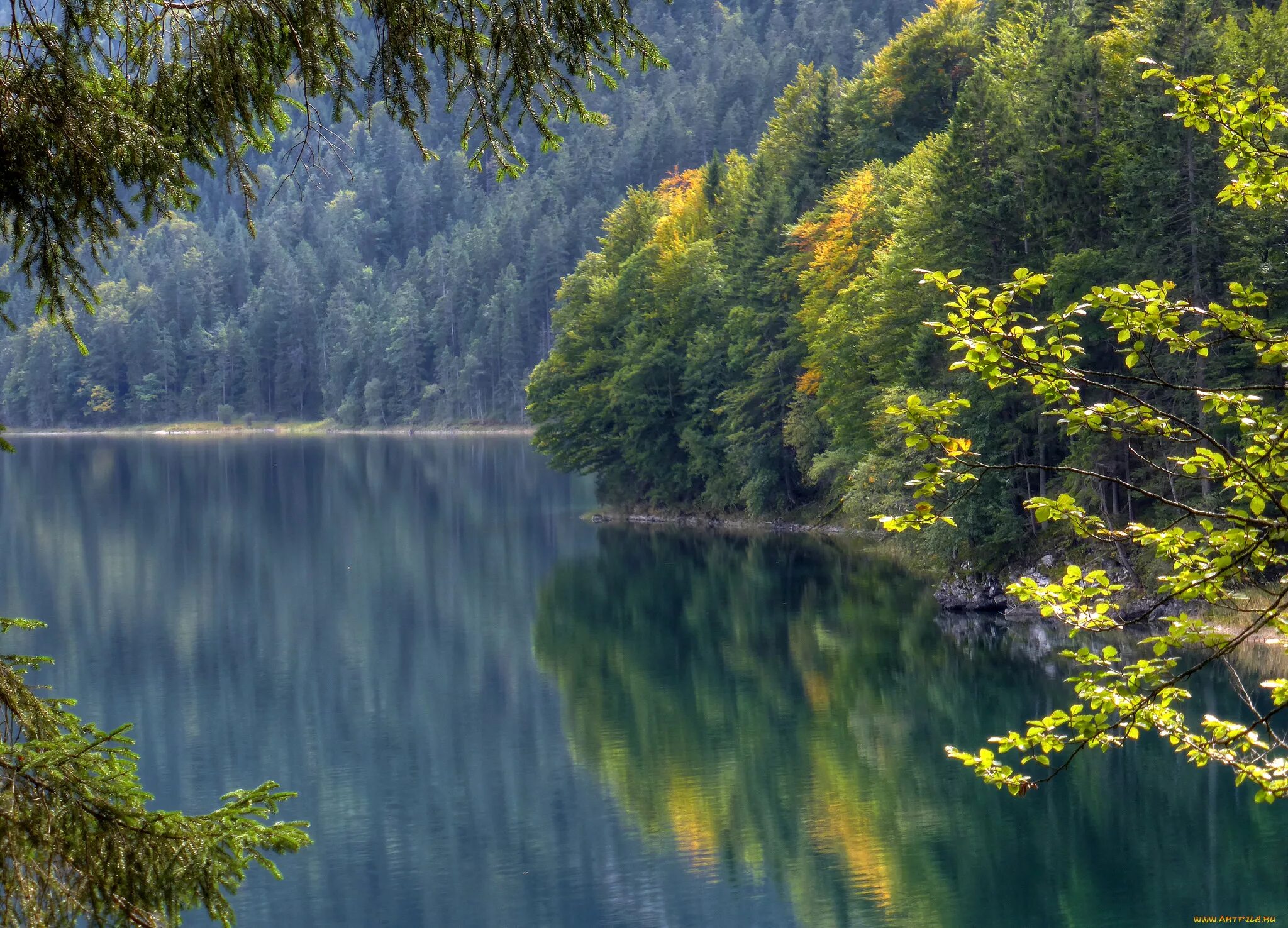 Озеро айбзее Германия. Eibsee озеро в Баварии. Шварцвальд озеро. Озеро Рица.